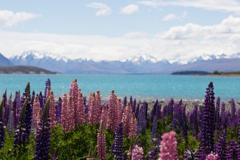 Location_Tekapo_LakeTekapo