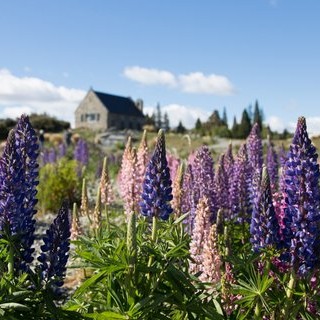 tekapo-img04