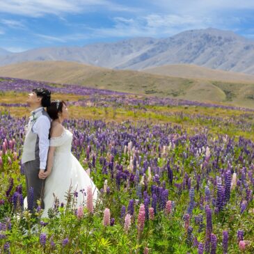 テカポフォトウエデイング Takuya様＆Eri様